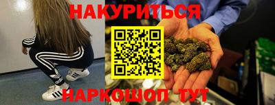 мет Кингисепп