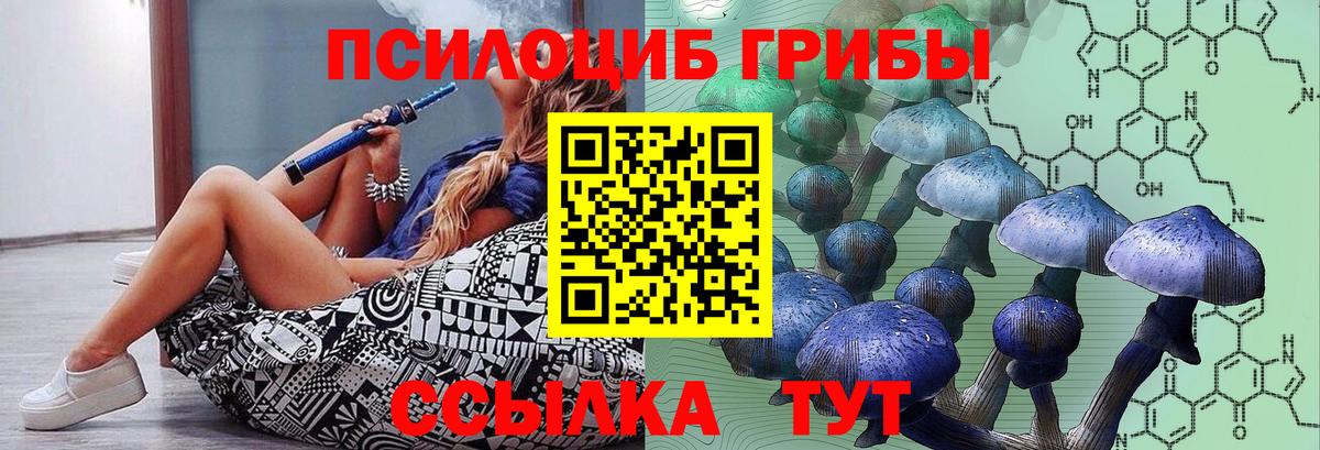 Галлюциногенные грибы Magic Shrooms Избербаш