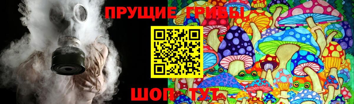 Избербаш  Псилоцибиновые грибы Psilocybe  Псилоцибиновые грибы Psilocybine cubensis  Вход с VPN 